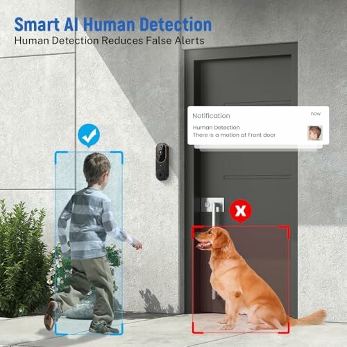 Smart AI doorbell detecting human and dog at front door.