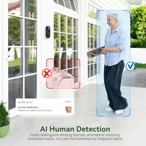 AI human detection differentiating human from pet cat at a door.